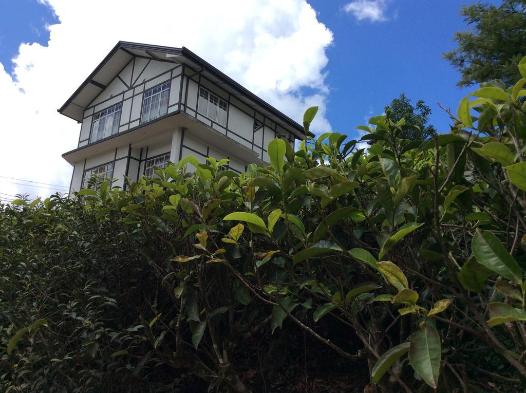 Tealeaf Bed and Breakfast Nuwara Eliya Exteriör bild