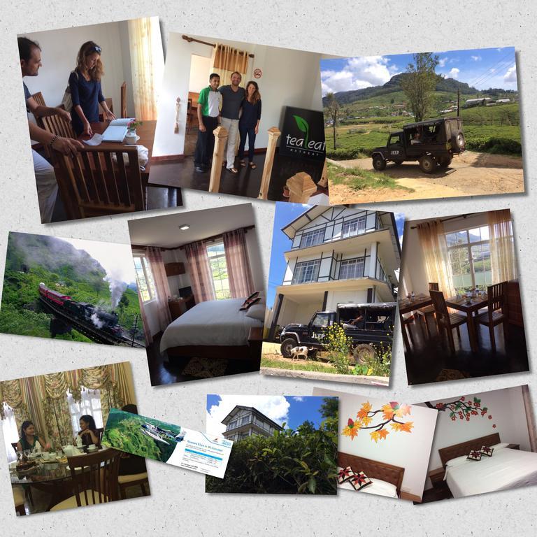 Tealeaf Bed and Breakfast Nuwara Eliya Exteriör bild