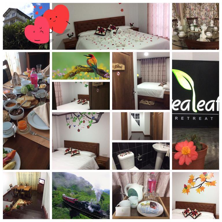 Tealeaf Bed and Breakfast Nuwara Eliya Exteriör bild