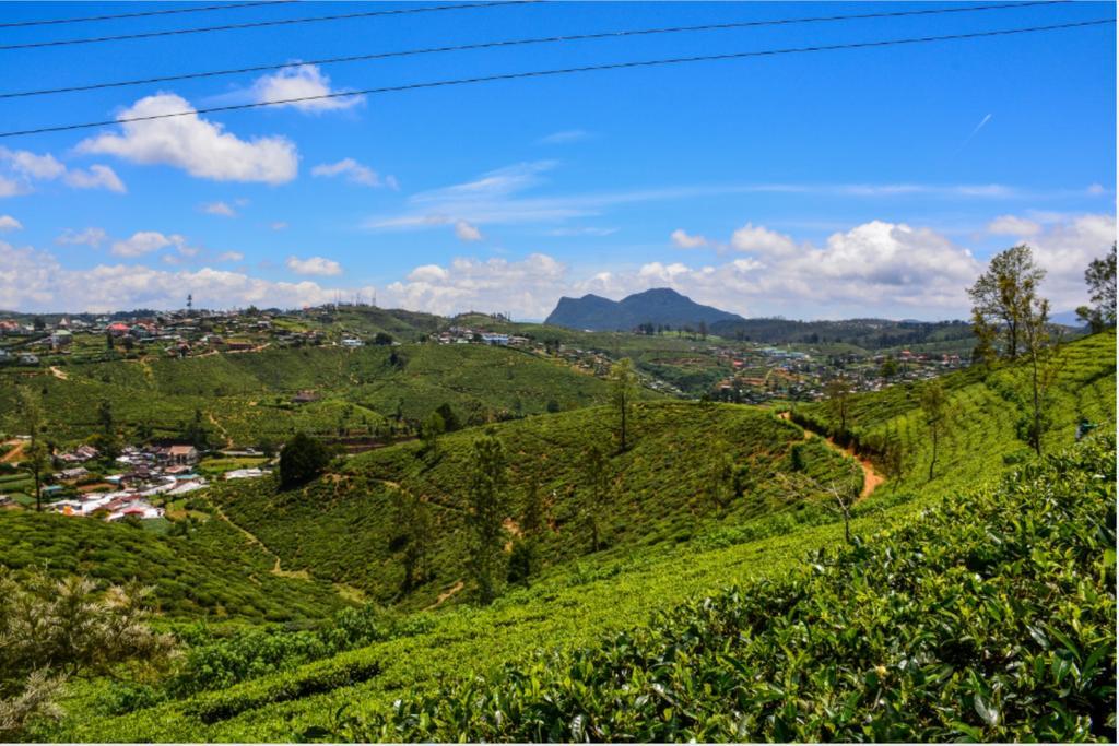 Tealeaf Bed and Breakfast Nuwara Eliya Exteriör bild