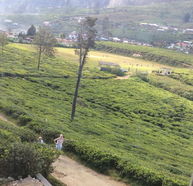 Tealeaf Bed and Breakfast Nuwara Eliya Exteriör bild