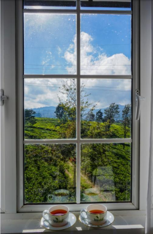 Tealeaf Bed and Breakfast Nuwara Eliya Exteriör bild