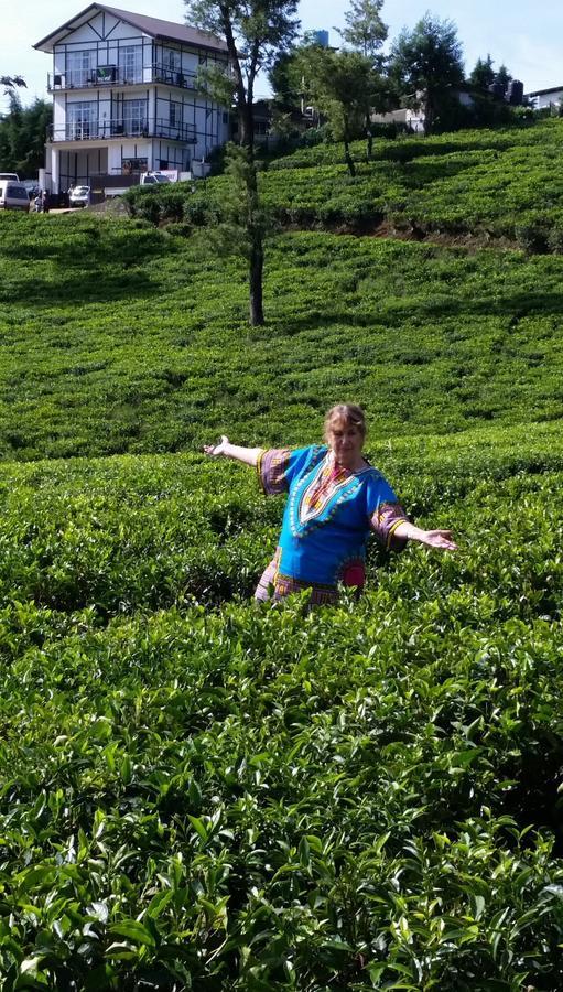 Tealeaf Bed and Breakfast Nuwara Eliya Exteriör bild